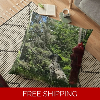 Floor Pillow Case Rush Signals Monument up at Le Studio Back